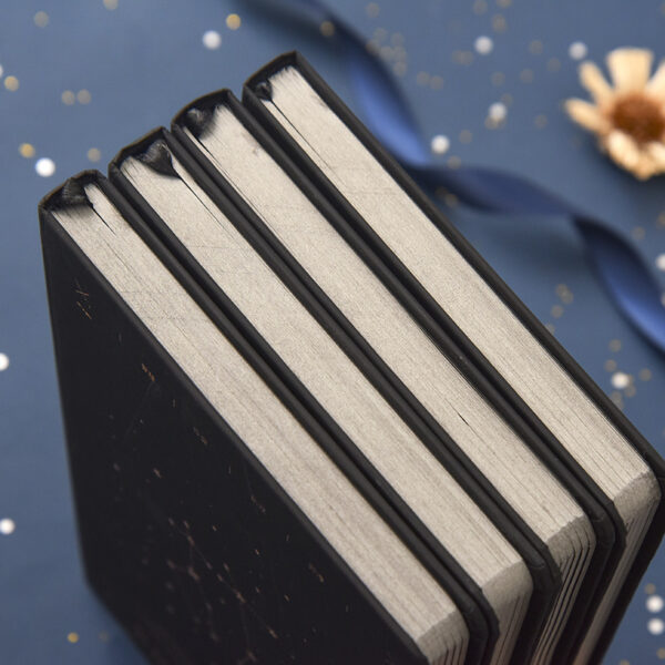 Aestrology Notebook - Special Gift for Birthday