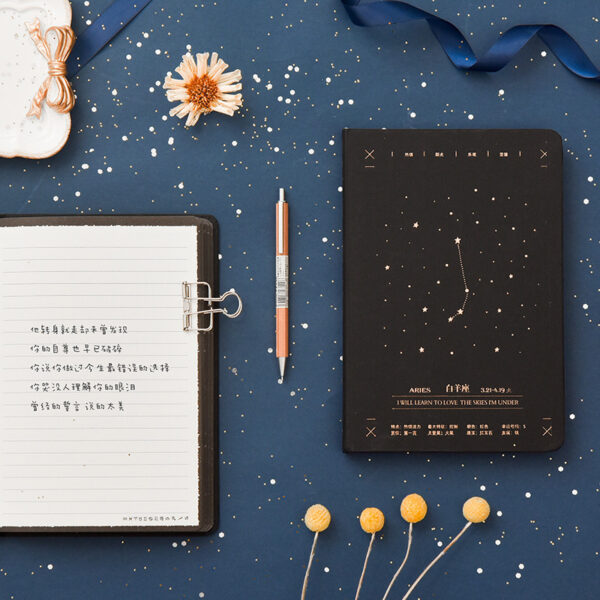 Aestrology Notebook - Special Gift for Birthday